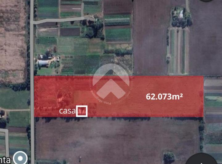 Campo · 62073m² · 2 Ambientes