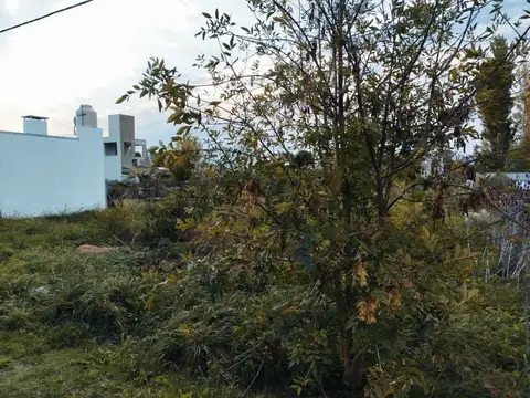 Terreno en Venta en Villa Parque Sicardi, Partido de La Plata