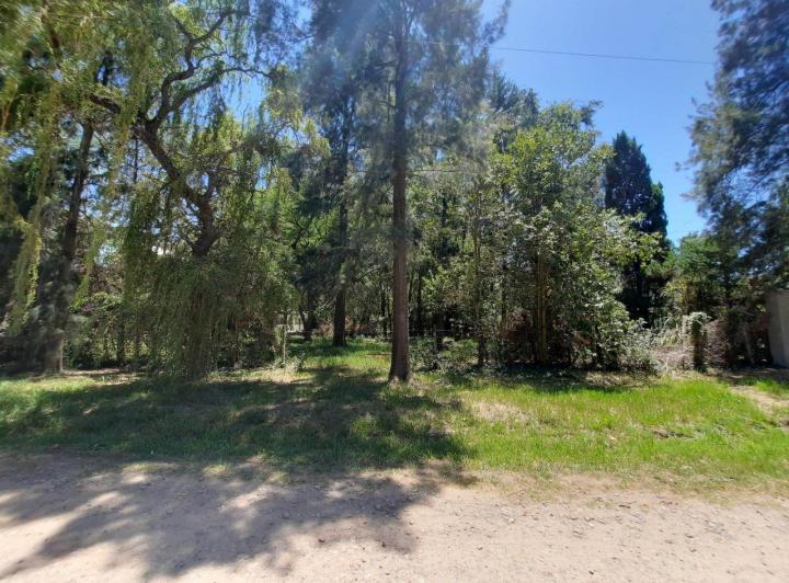 Terreno · 1023m²