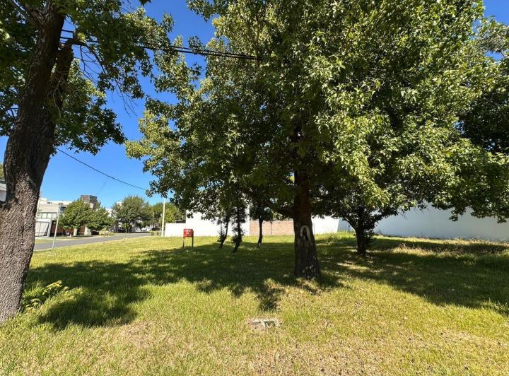 Terreno · 242m²