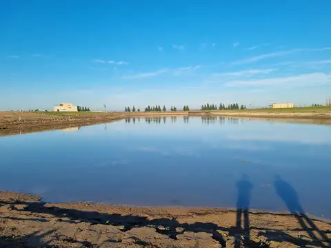 Terreno en Venta en Coronel Brandsen, Partido de Brandsen