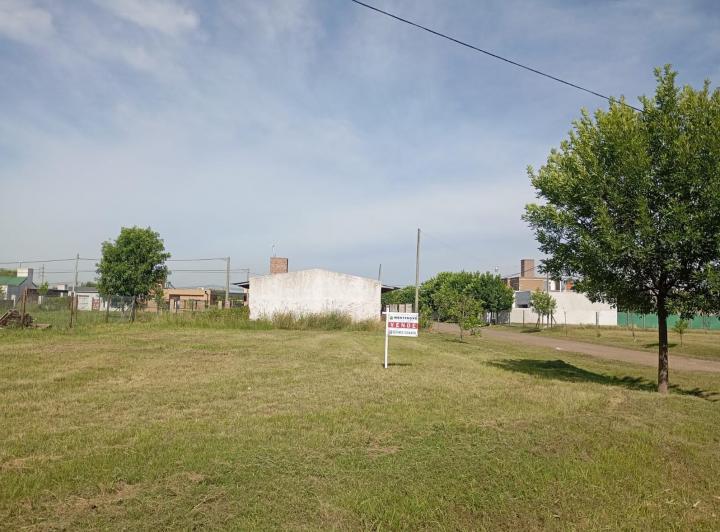 Terreno · 557m²