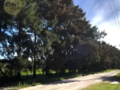 Terreno en Venta en Manuel B Gonnet, Partido de La Plata