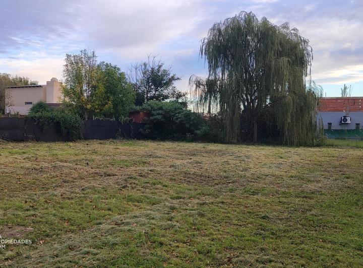 Terreno · 558m²