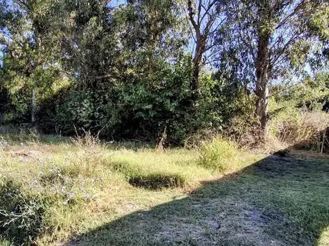 Terreno en Venta en Villa Parque Sicardi, Partido de La Plata