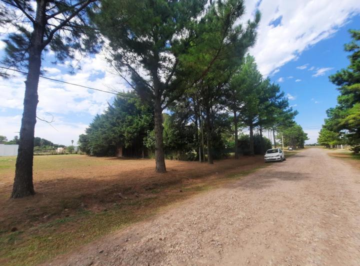 Terreno · 825m²