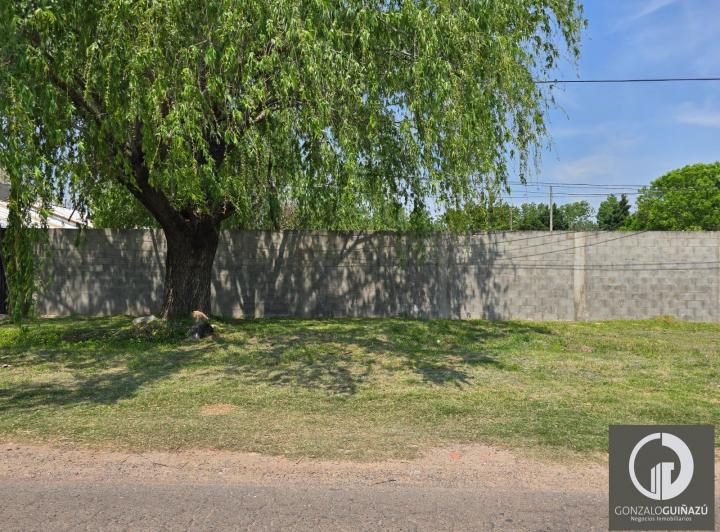 Terreno · 1007m²