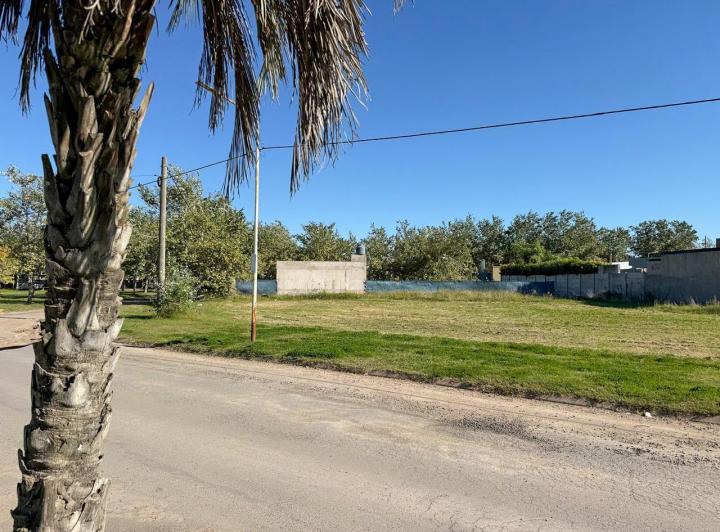 Terreno · 1076m²