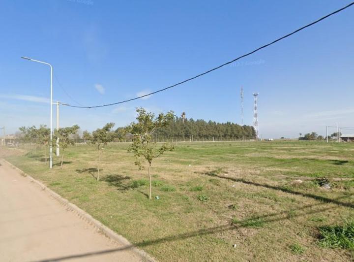 Campo · 15000m²