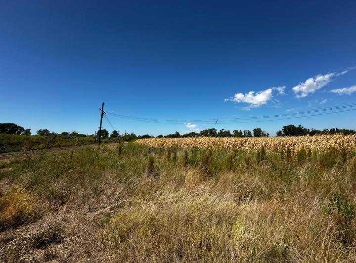 Terreno · 52000m²