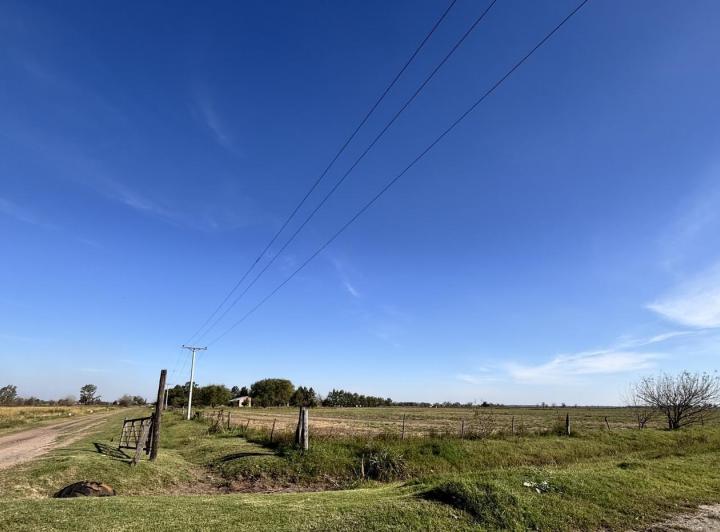 Campo · 160000m²