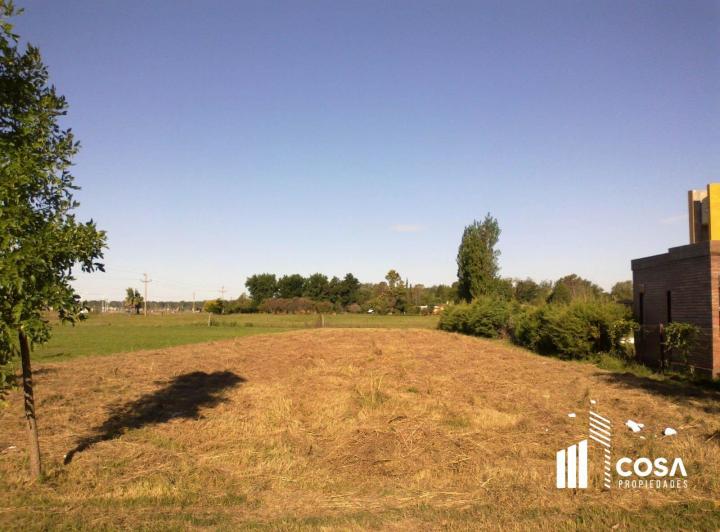 Terreno · 1000m²