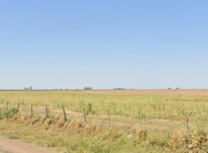 Campo · 115000m²