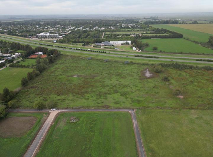 Campo · 41215m²