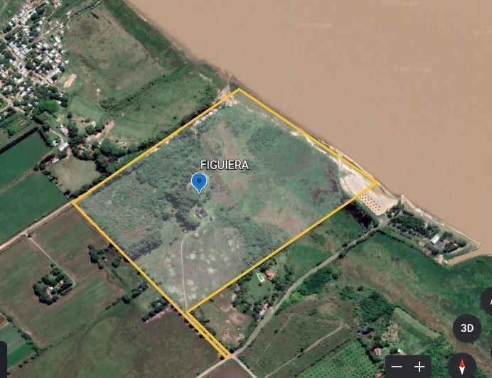 Campo · 160000ha · 7 Ambientes · 3 Cocheras