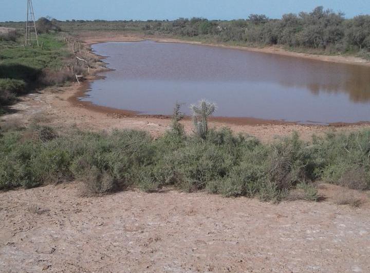 Campo · 10000000m²