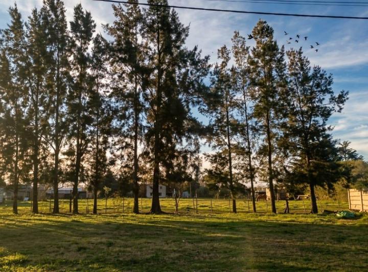 Terreno · 200m²