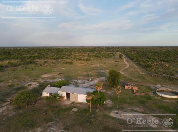 Campo · 300m² · 3 Ambientes