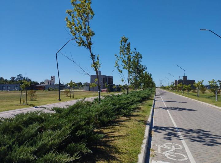 Terreno · 300m²