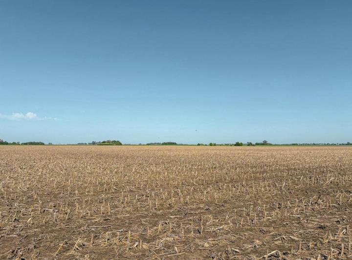 Campo · 980000ha