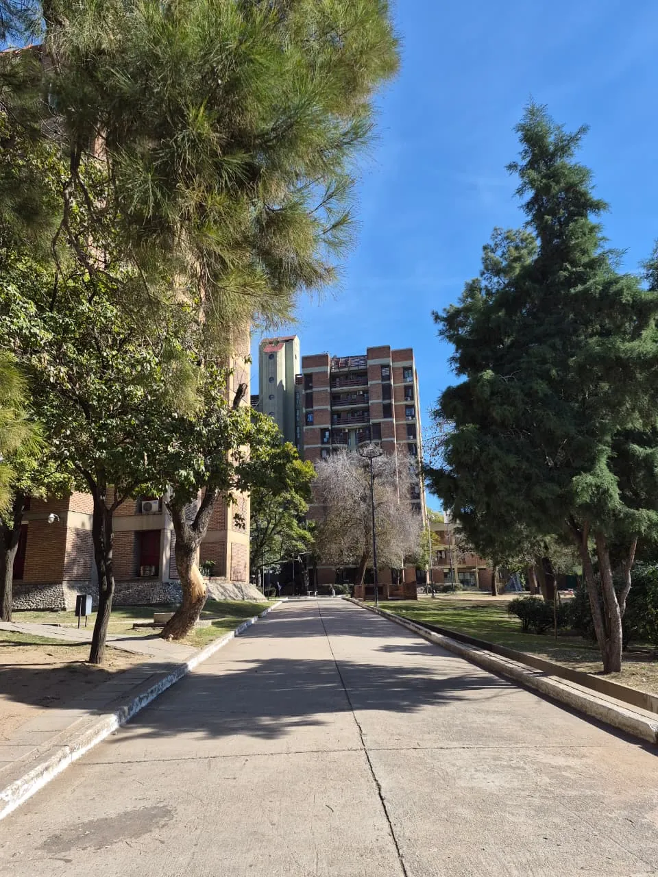 Alquilo hermoso dpto de 2 dorm en Torre Verde B° Juniors!