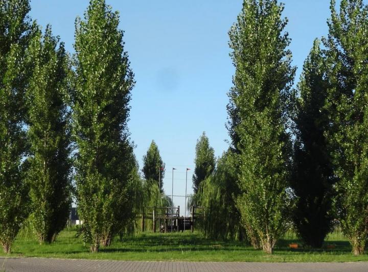 Terreno · 585m²