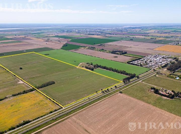 Campo · 900000ha