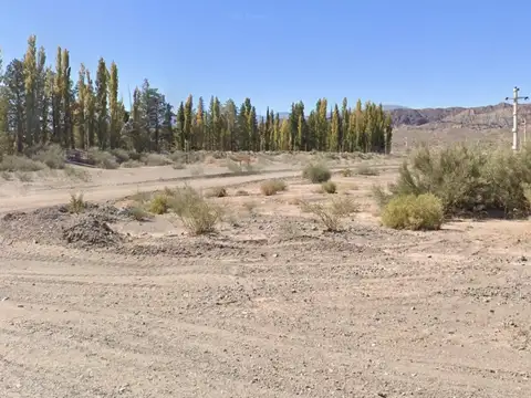 Terreno en Venta en Barreal, Calingasta