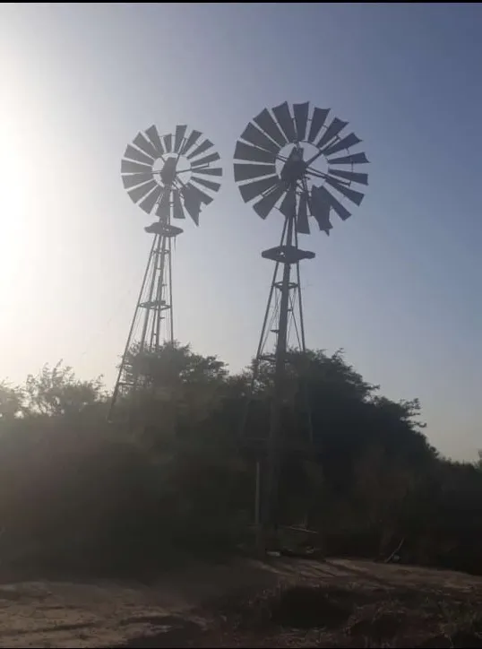 Campo Agrícola en Venta | 172 ha |· Real Sayana, Stgo del Estero