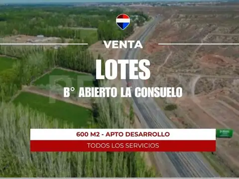 Terreno en Venta en Centenario, Confluencia
