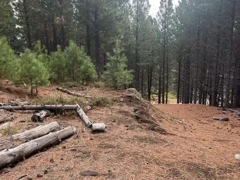Terreno en Venta en San Martín de los Andes, Lácar