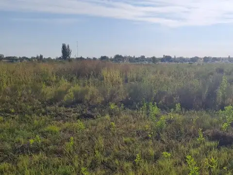 Terreno en Venta en Totoral, Tunuyán