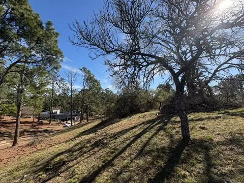 Terreno en Venta en Santa Rosa de Calamuchita, Calamuchita