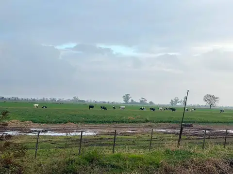 Campo en Venta en Villa San Jose, Castellanos