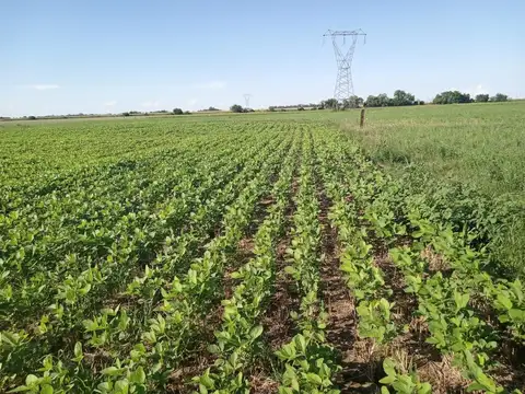 Campo en Venta en Barrancas, San Jerónimo