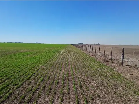 Campo en Venta en Santa Teresa, Constitución