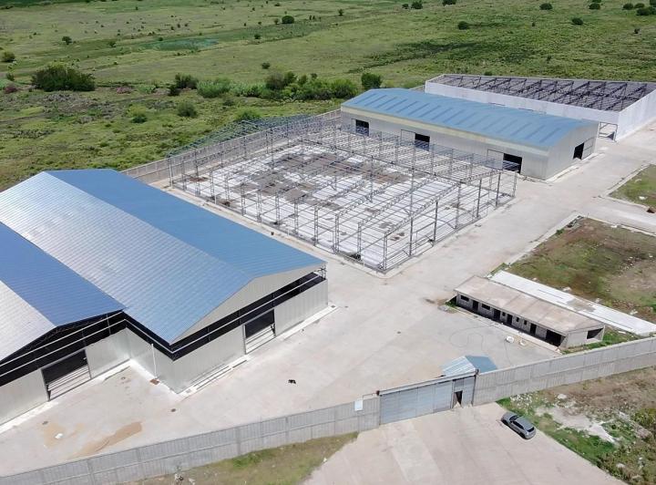 Bodega-Galpón · 1700m²