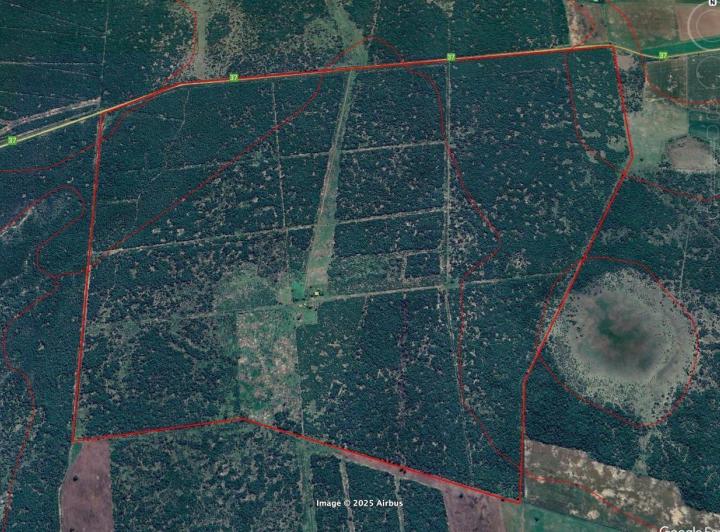Campo · 8110000ha