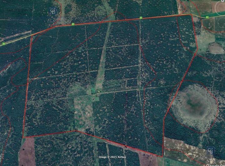 Campo · 8110000ha