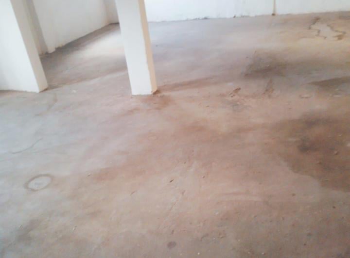 Bodega-Galpón · 220m²