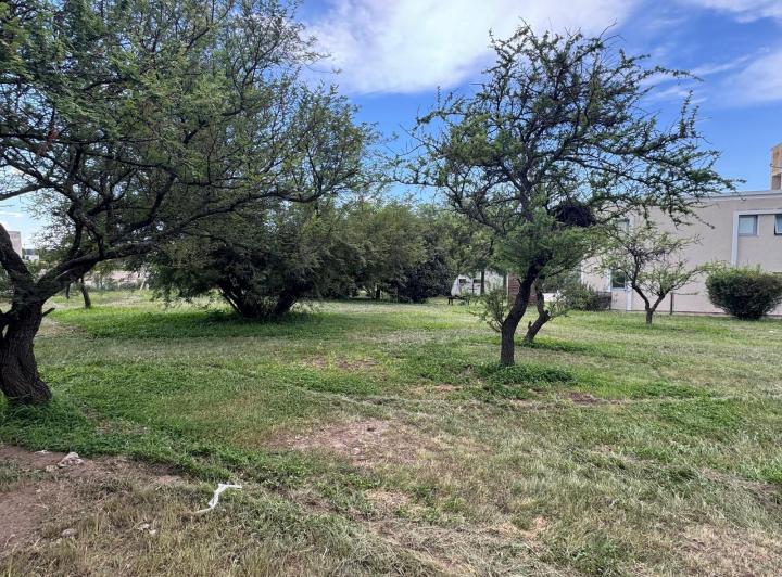 Terreno · 1250m²