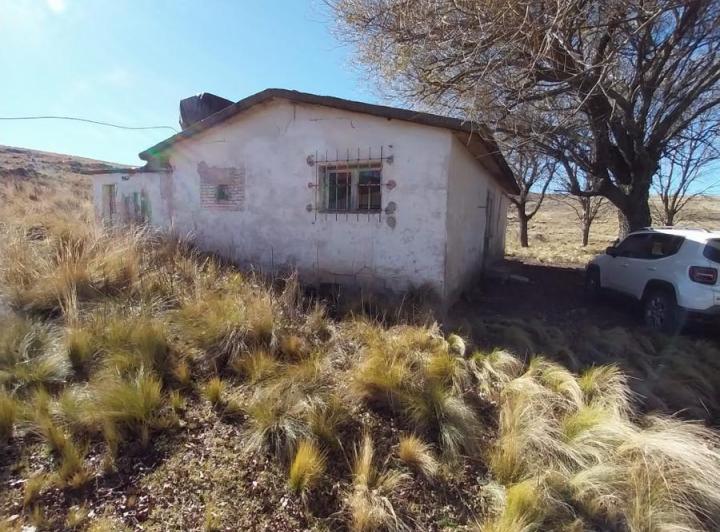 Campo · 7500000m² · 5 Ambientes