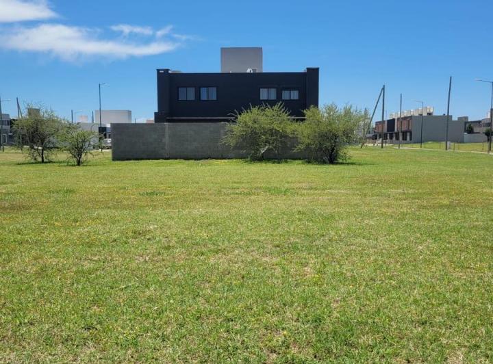 Terreno · 320m²