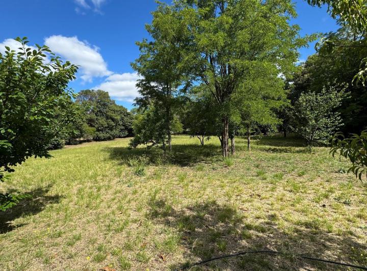 Terreno · 3075m² · 1 Ambiente