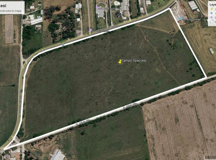 Campo · 130000ha