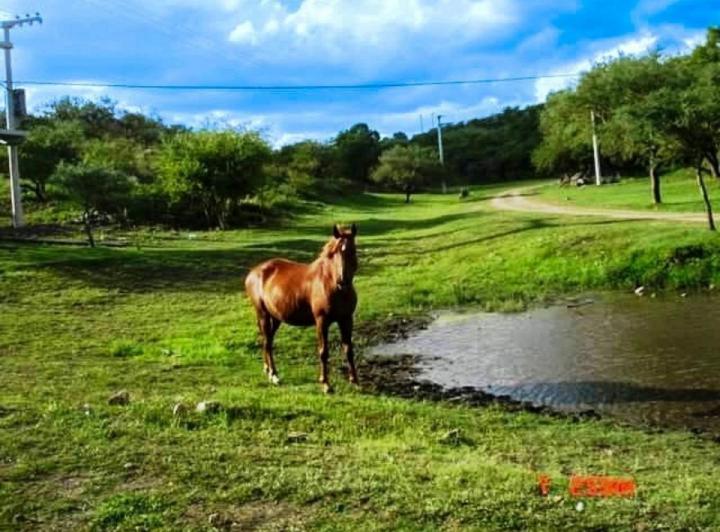 Terreno · 9000m²