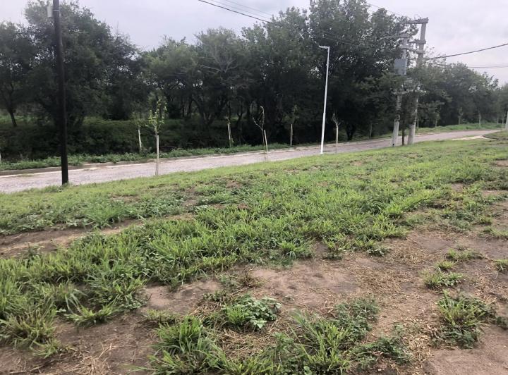 Terreno · 575m²