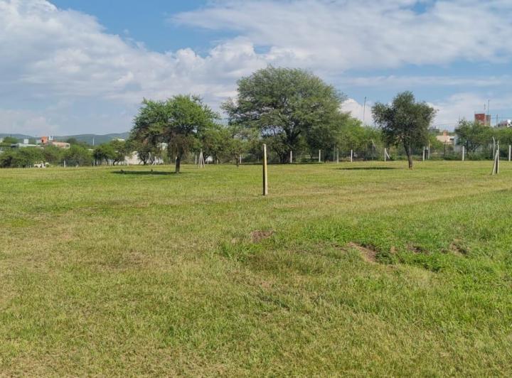 Terreno · 1000m²