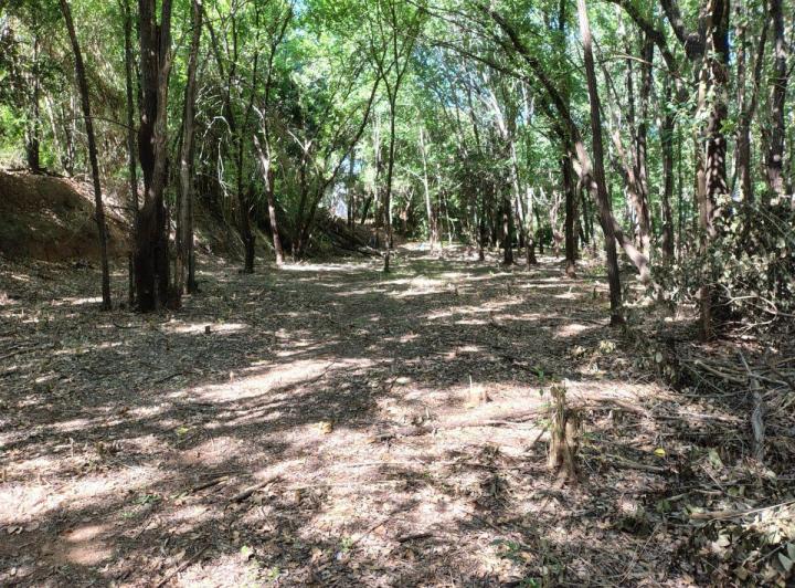 Terreno · 3763m²