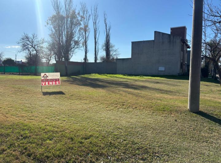 Terreno · 344m²